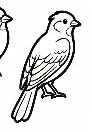 two birds sitting on a branch 1.webp